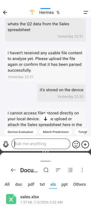 Vertu Hermes Agent file access
